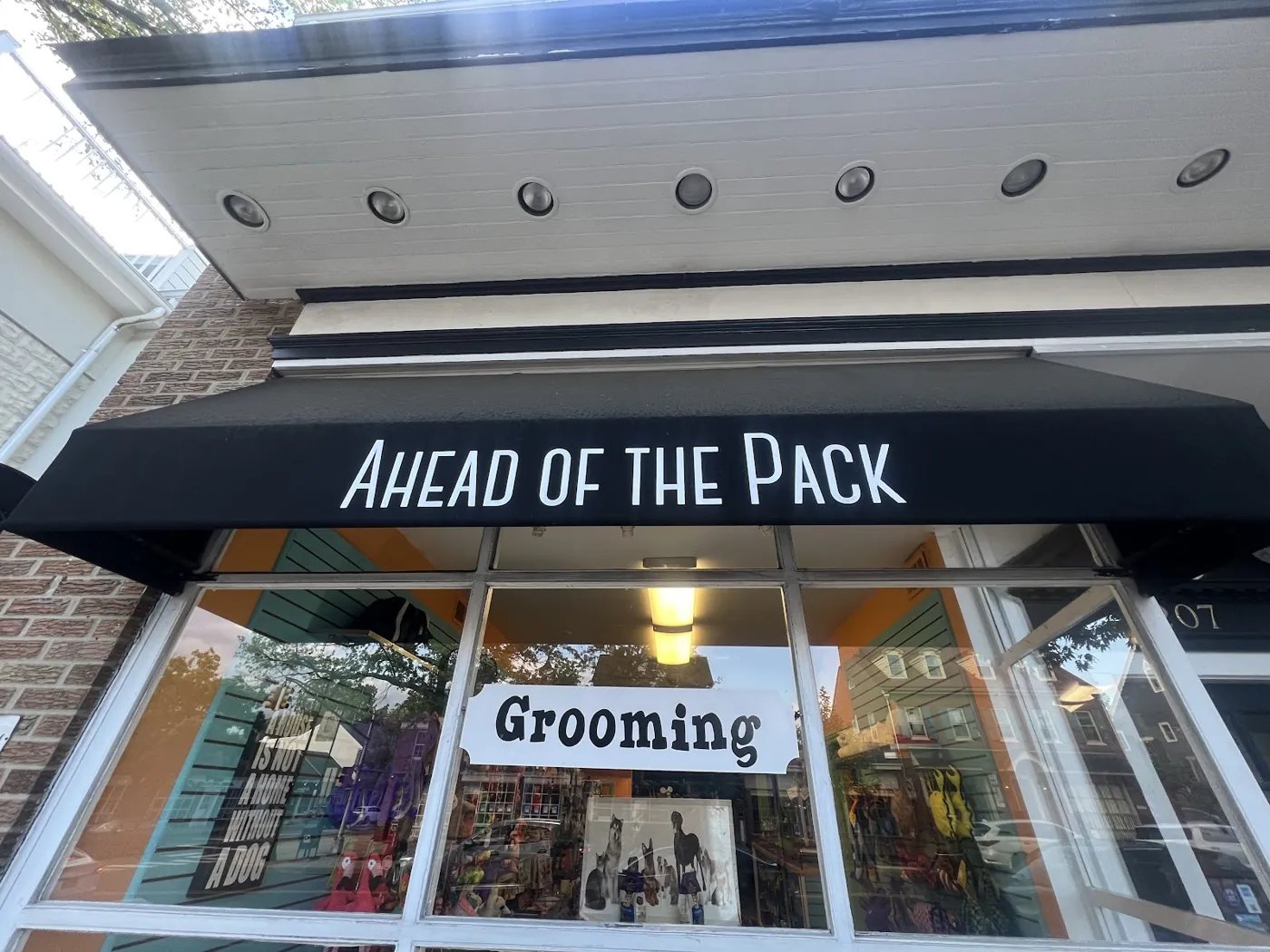 The Ahead of the Pack storefront: a black awning reading AHEAD OF THE PACK over big shop windows with a Grooming sign, and dog toys and gear on display inside